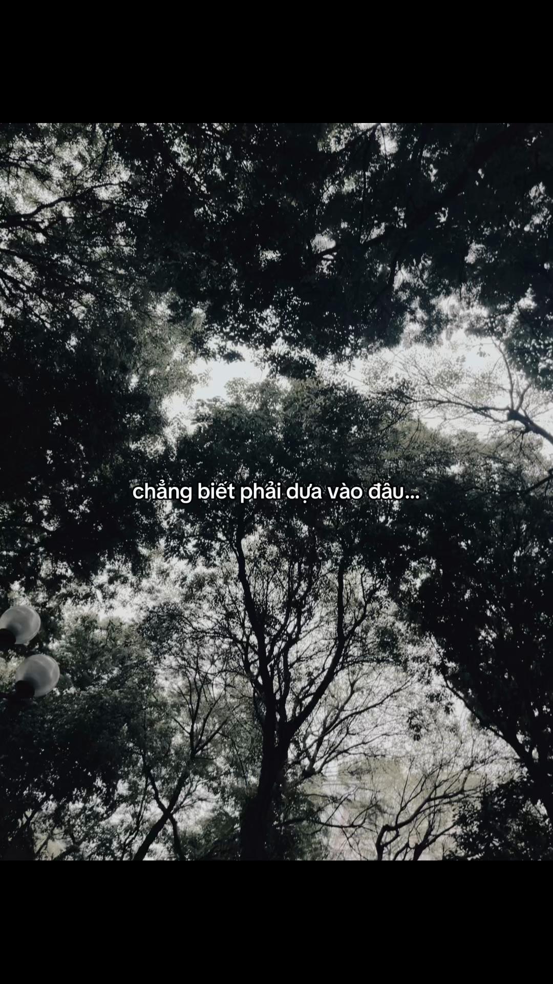 @Tệ!!