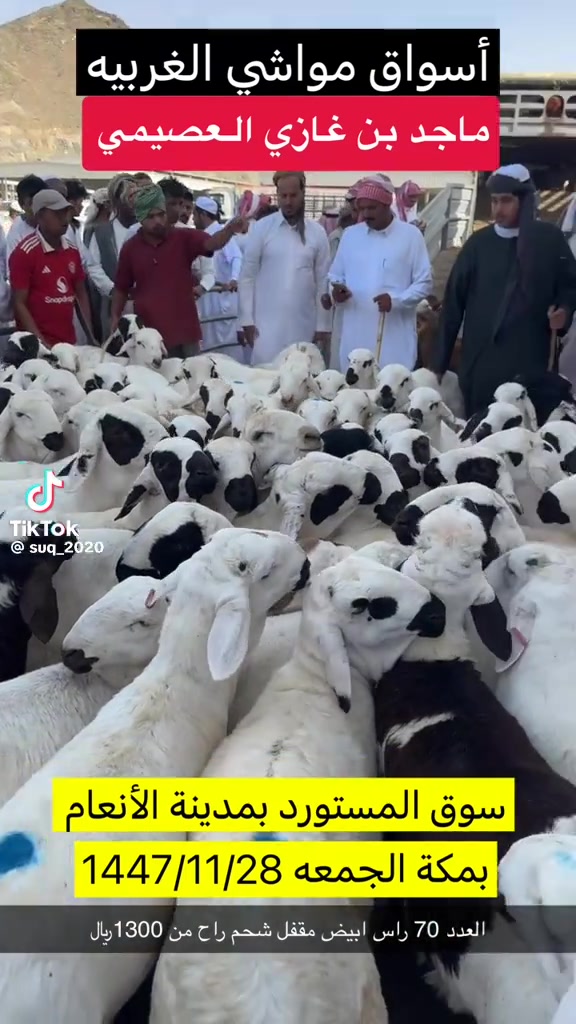 @mohamed_ksa0