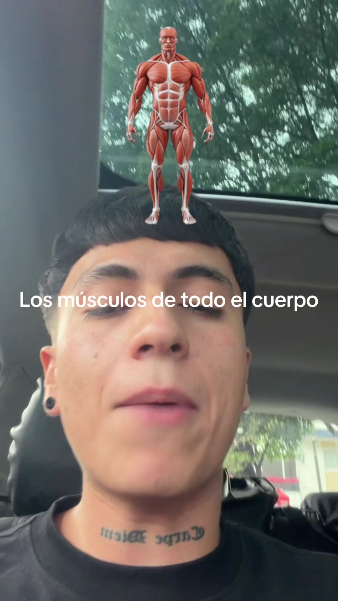 @ENDOBOY