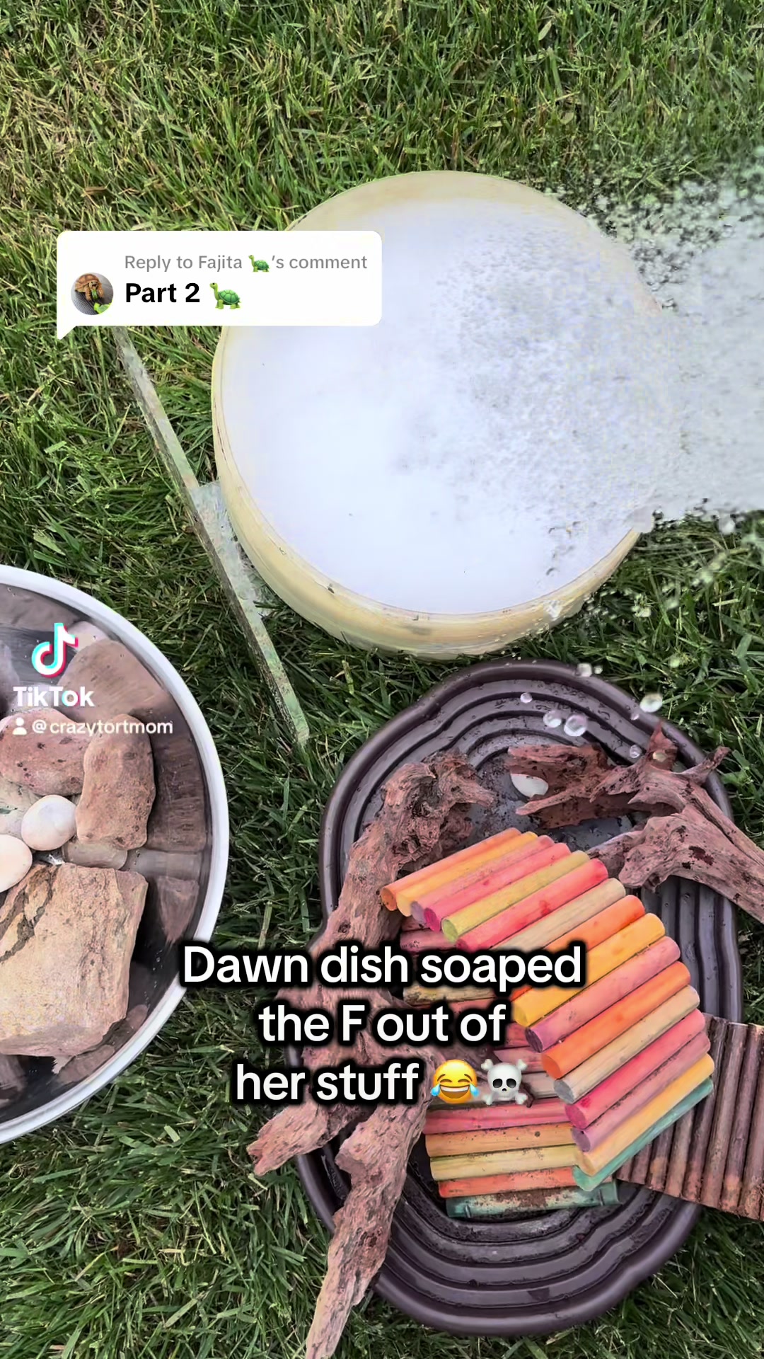 @Fajita 🐢