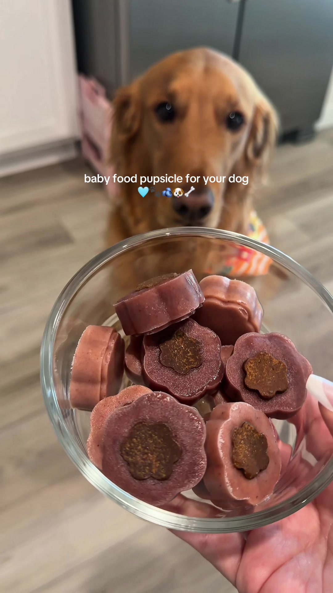 @lya 🧸