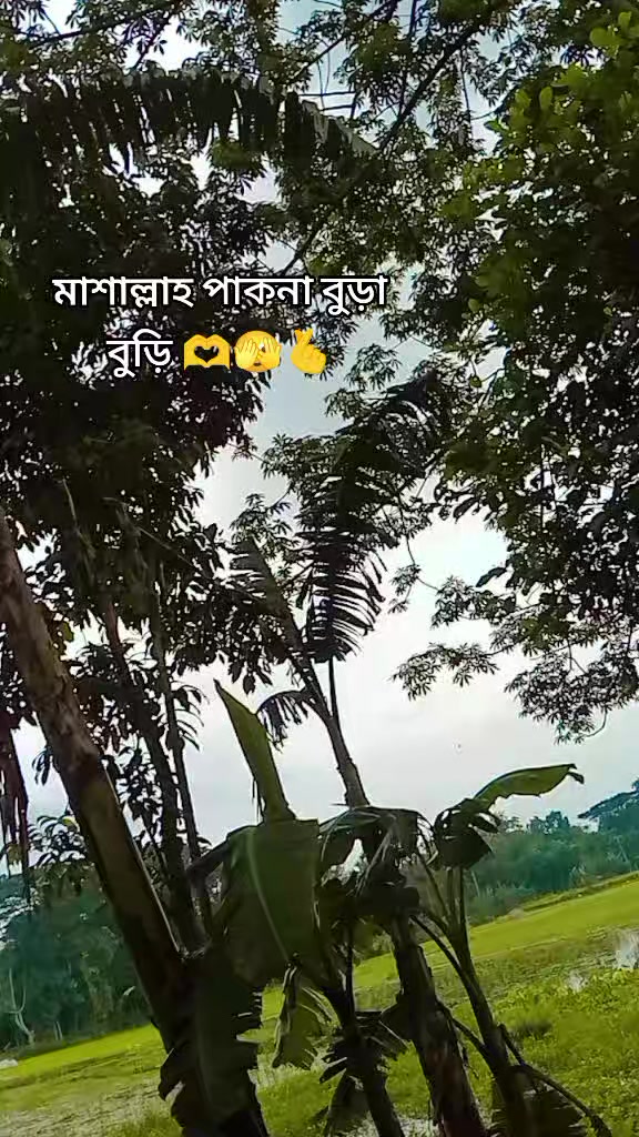 @কাতার প্রবাসীর বউ** jannatul