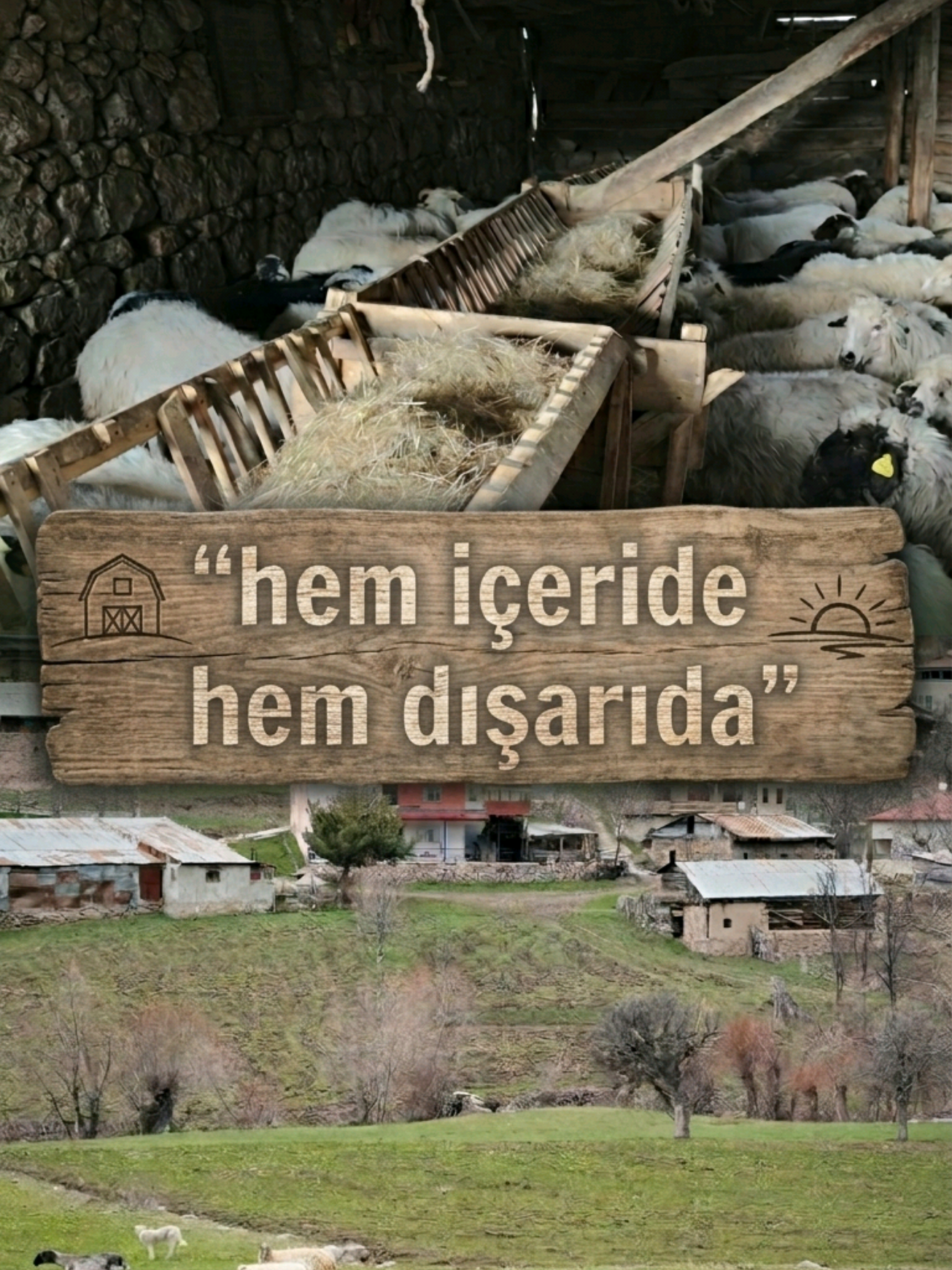 @Hüseyin URGAÇ