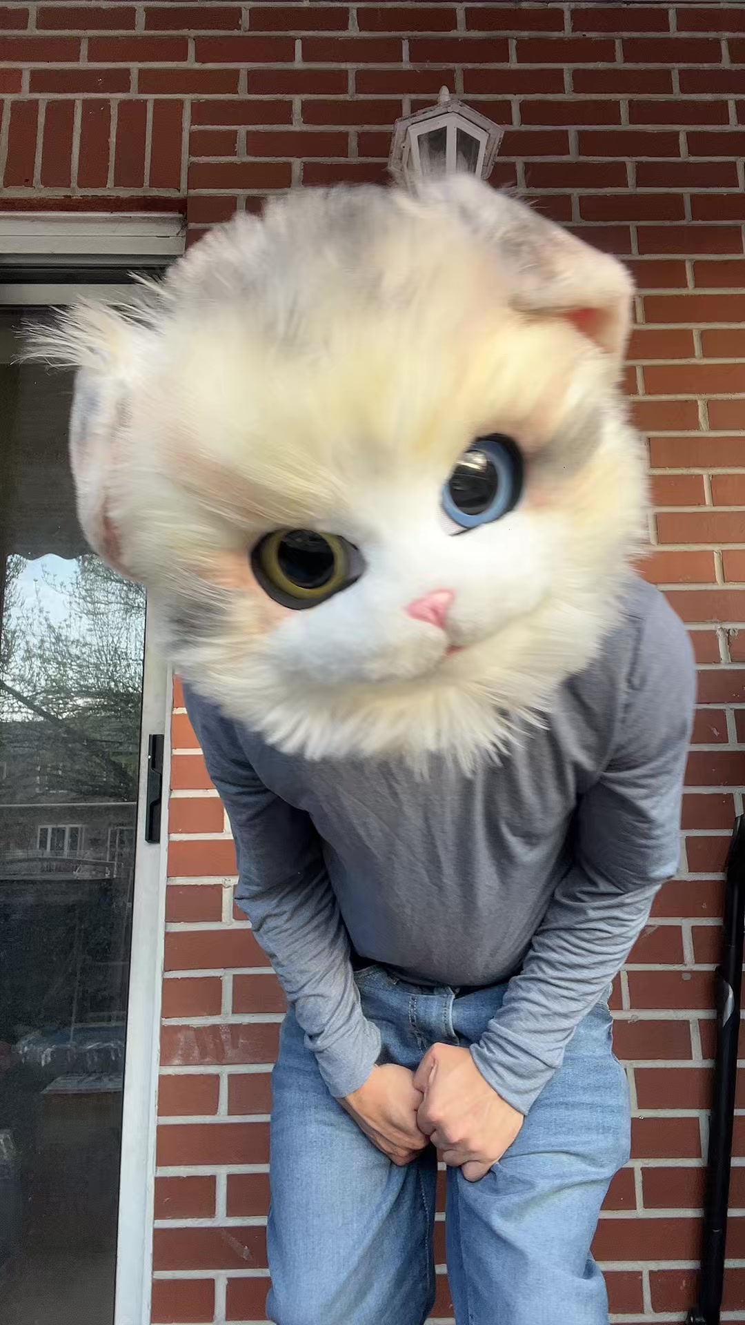 @The CaT 😼