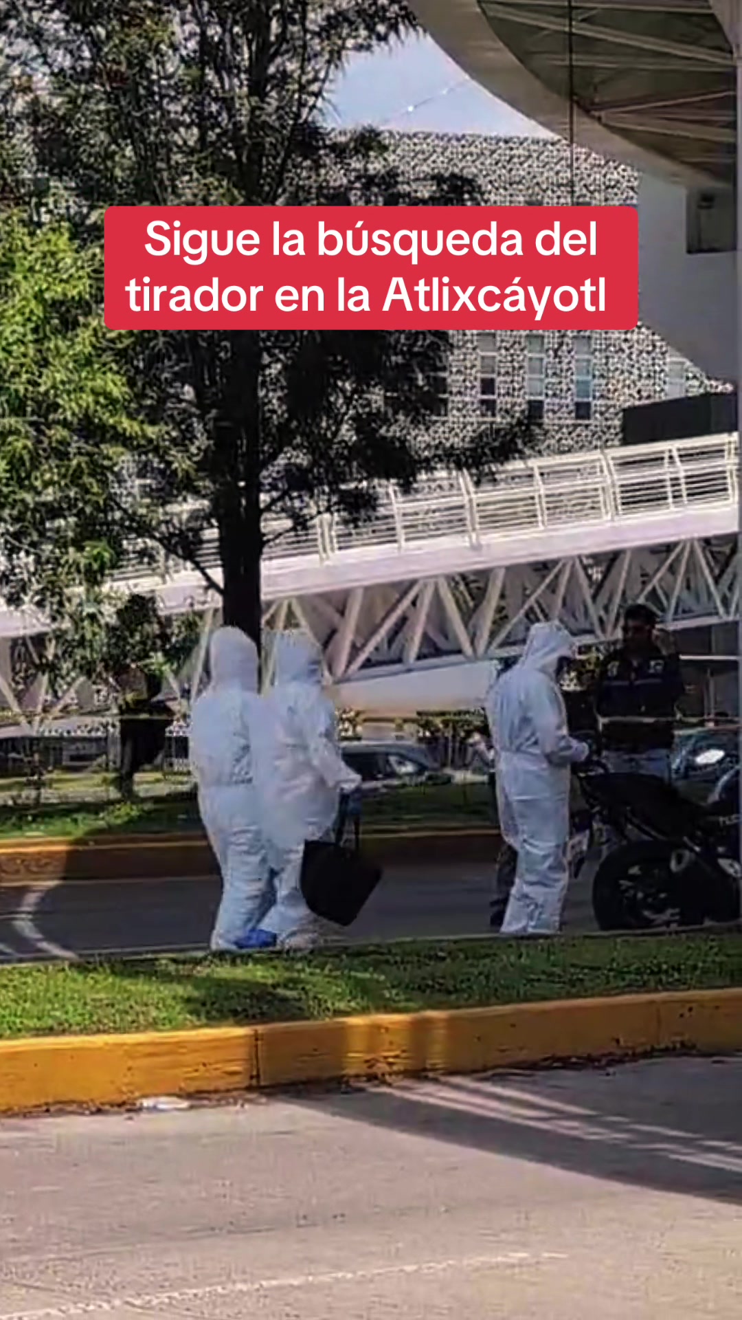 @Rocío Carbente (reportera🎤)