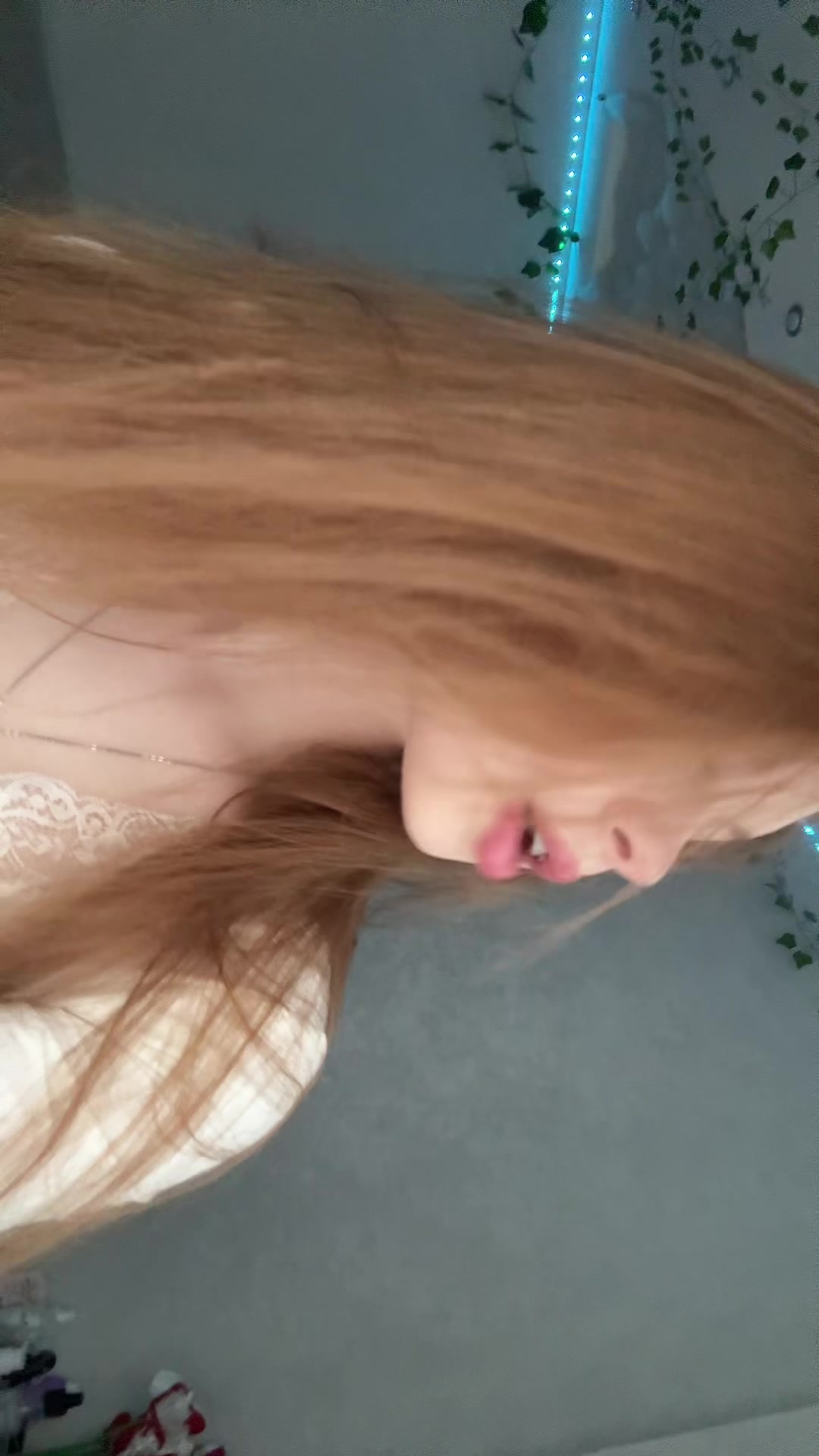 @кошка
