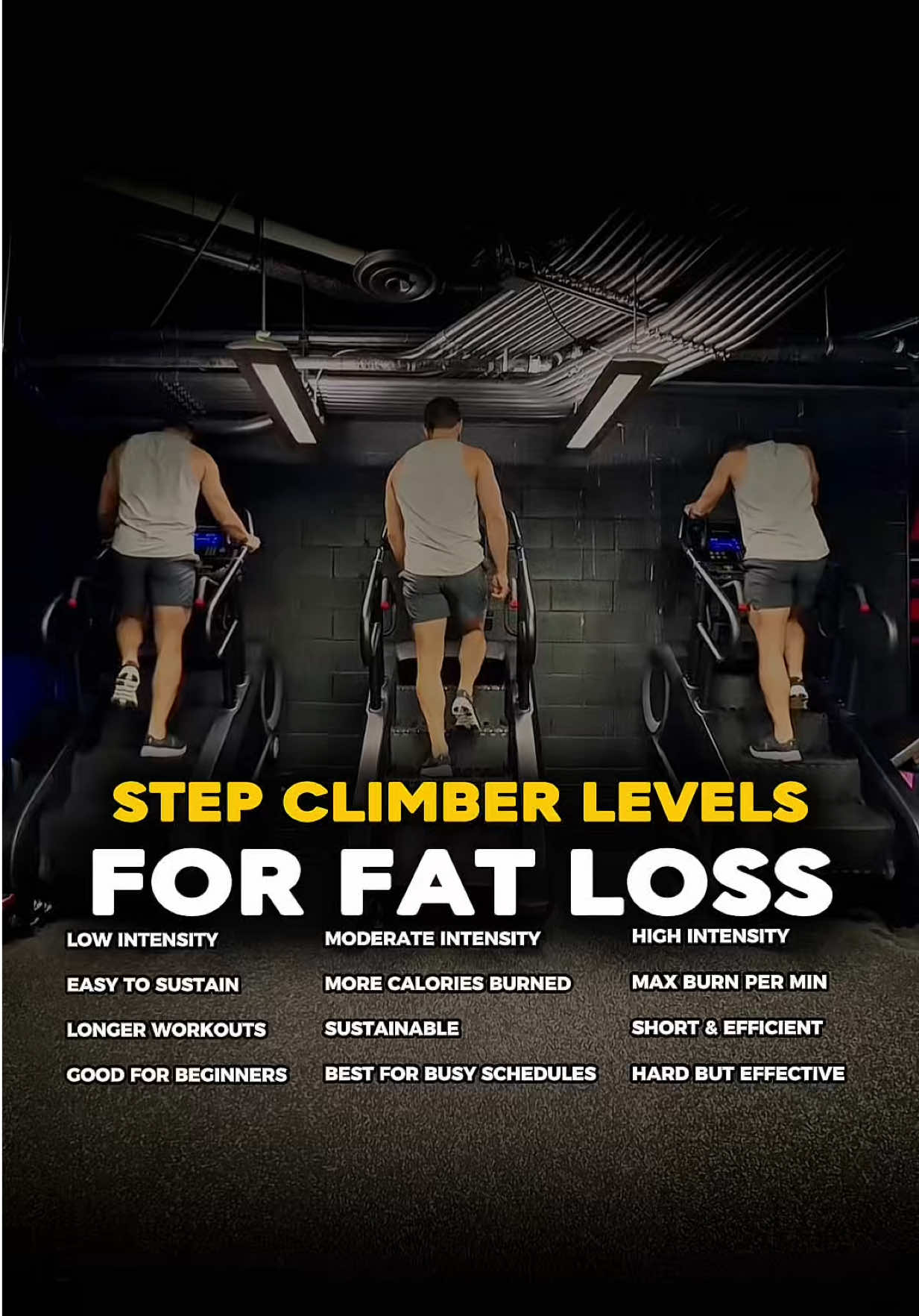 @Armin | Fitness Coach