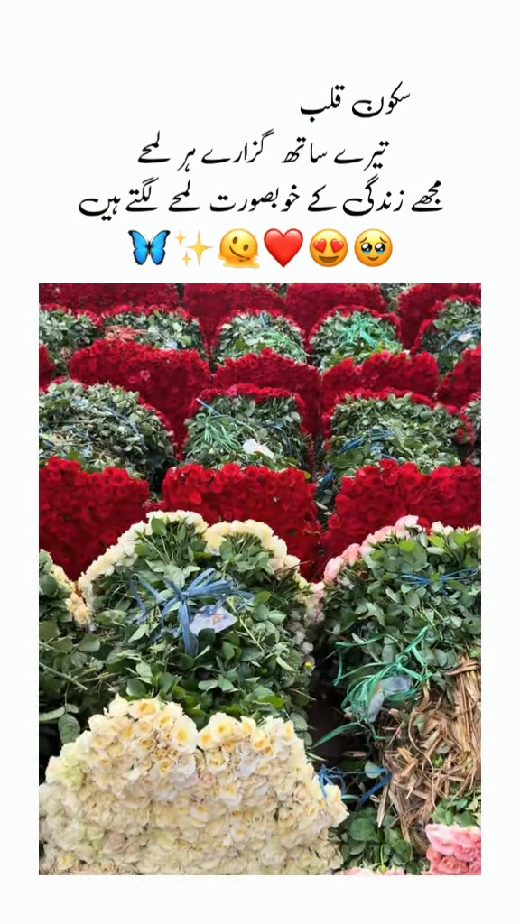 @desi boy