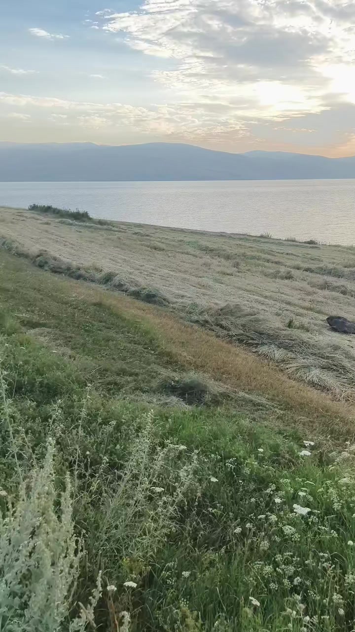 @Göksal Güneş