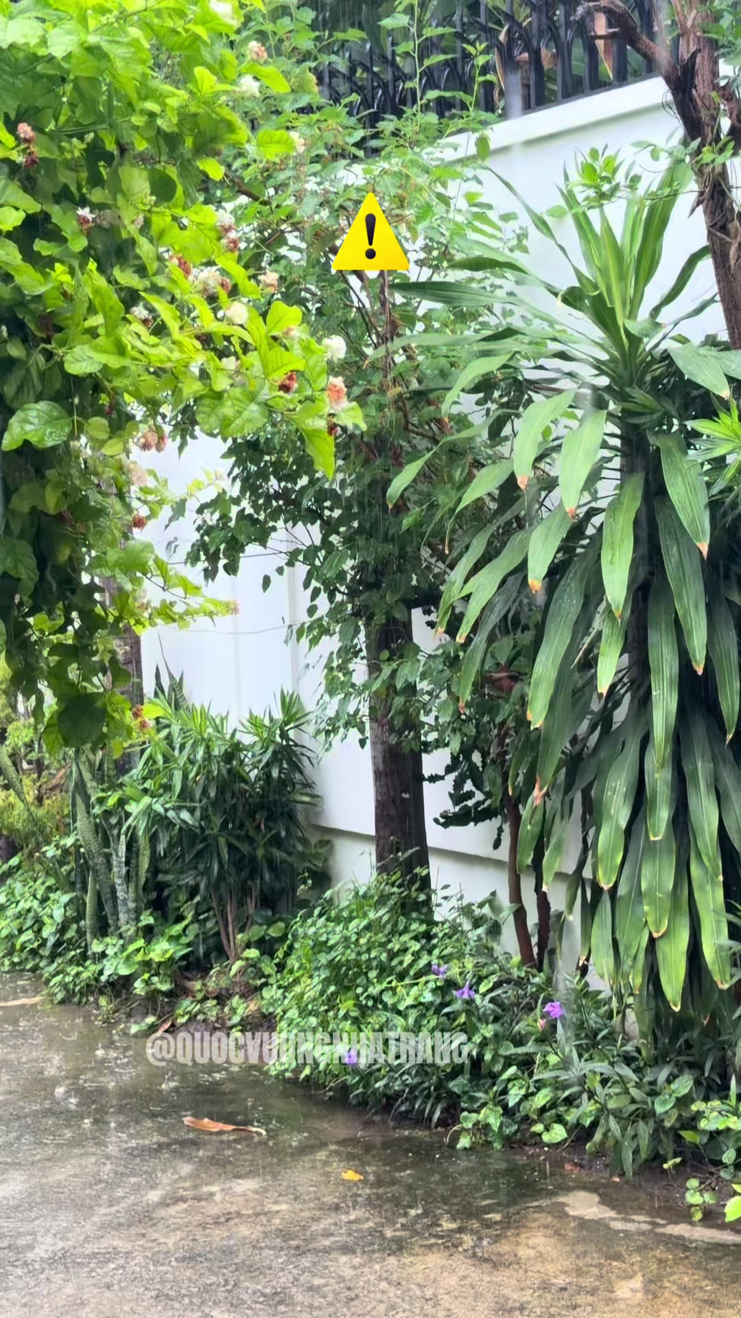 @Quốc Vương Nha Trang