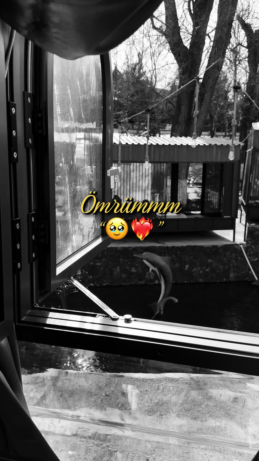 @Magtymgulyev🍃