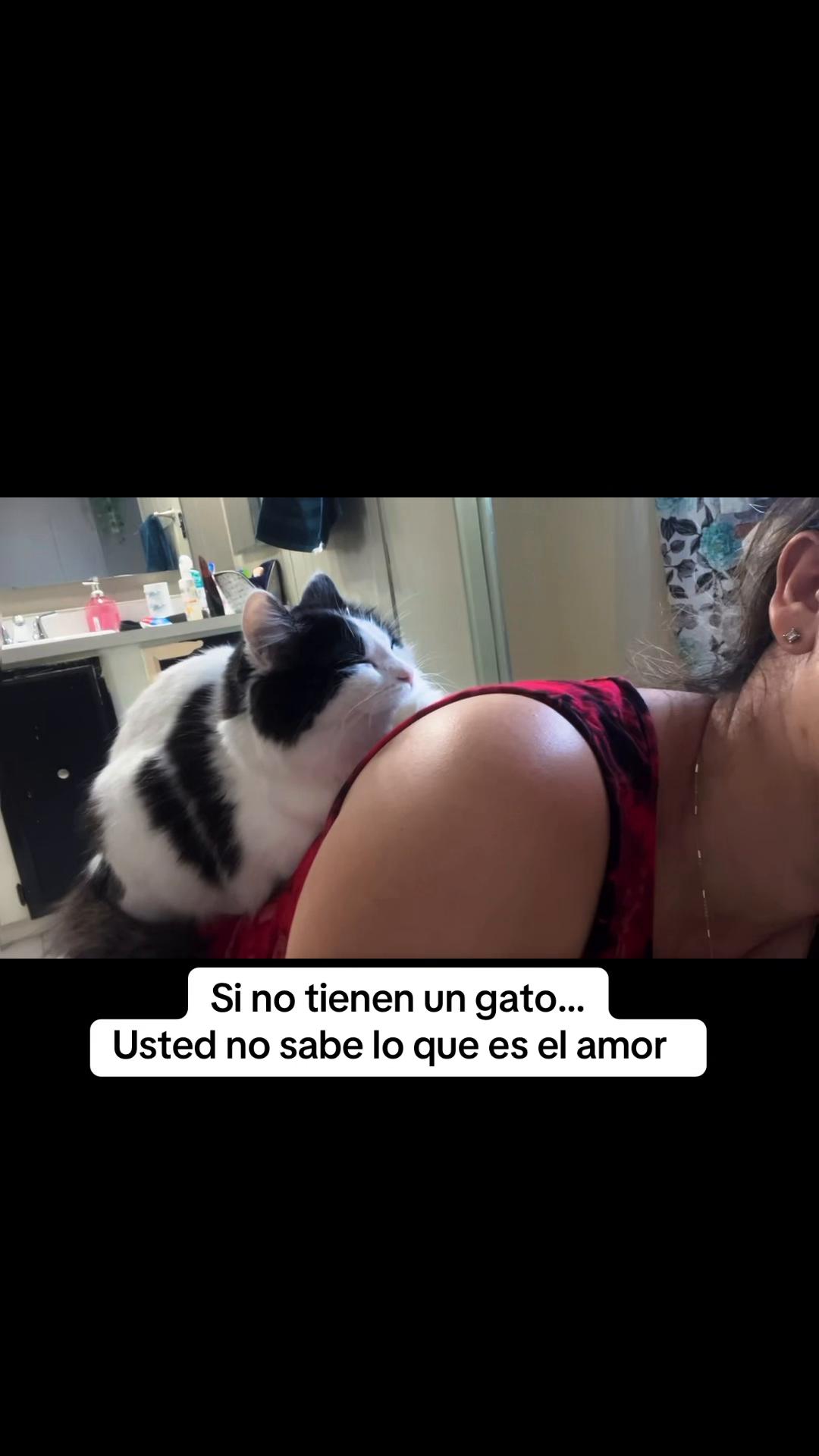 @Alejandra Sanchez