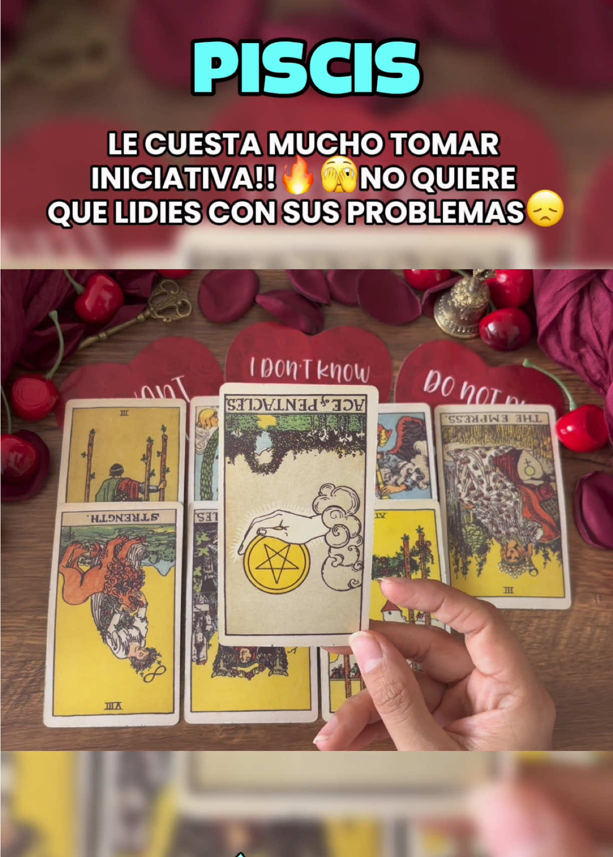 @Andy Sun Tarot ☀️