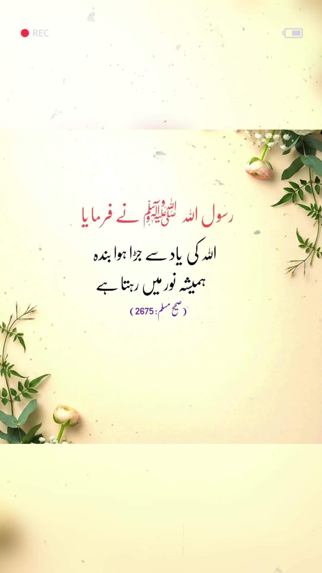 @❦︎❥︎mehar✰༆ ᶻᵘᵇᵃⁱʳ ༎ຶ✰