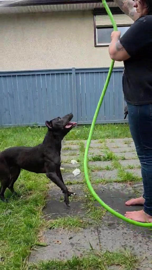 @RaisingHell.Hounds🇨🇦