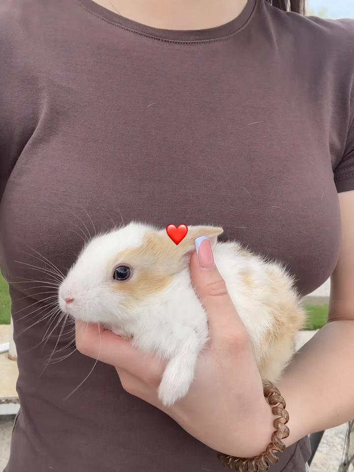 @лилечеккк