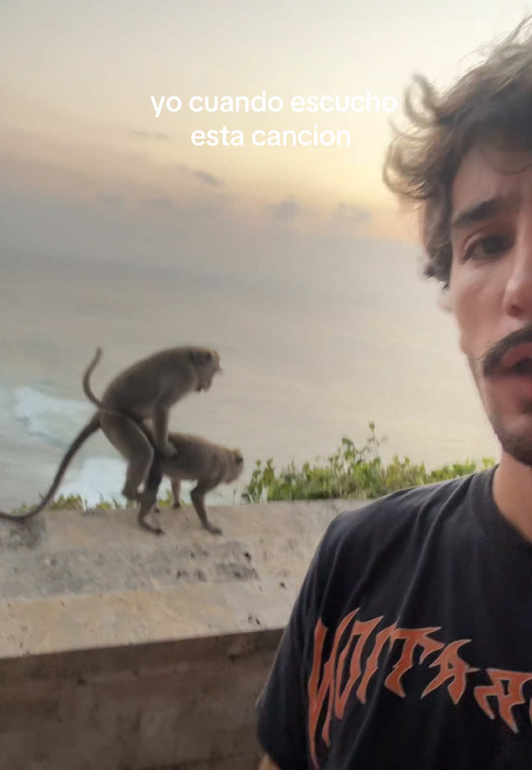 @Juanpa Gordoa