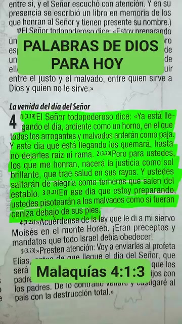 @Puac.gonzalez502🇬🇹
