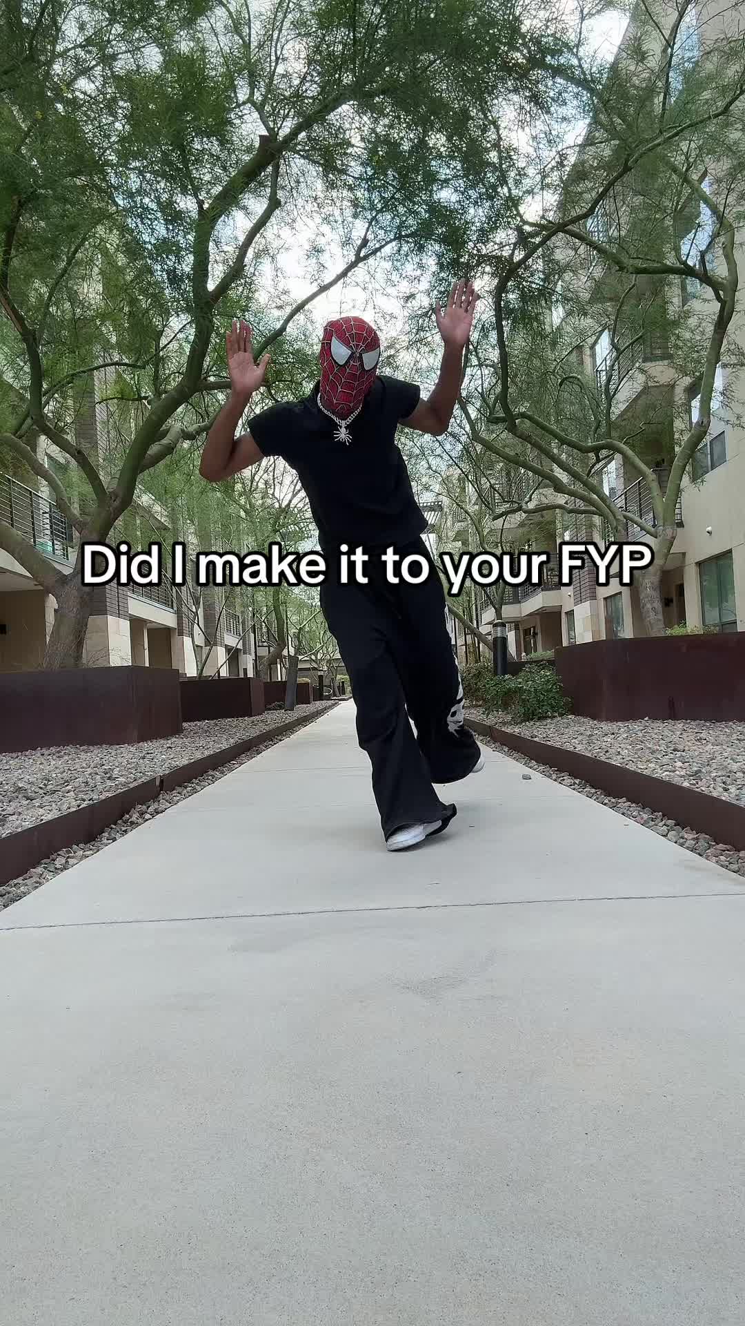 @SPIDA 🕸️