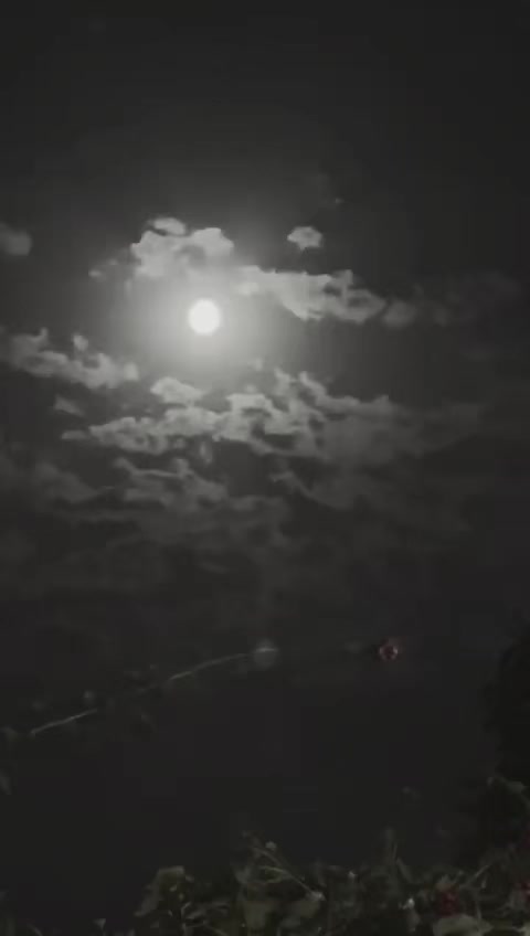@Moon_night_