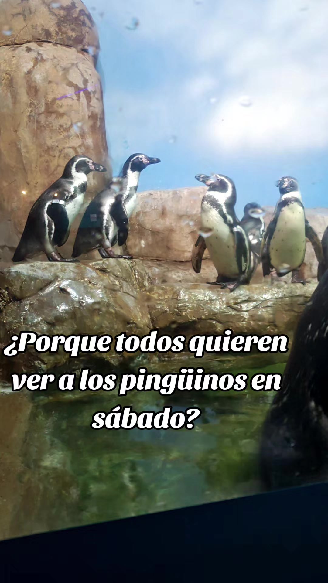 @Azul Buendía