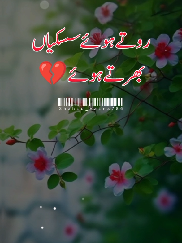 @اردو شاعری 🦋