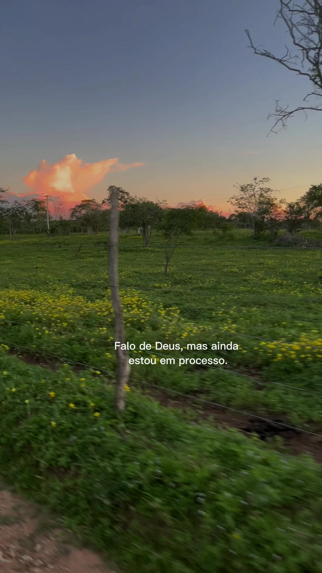 @Naielly S. Costa