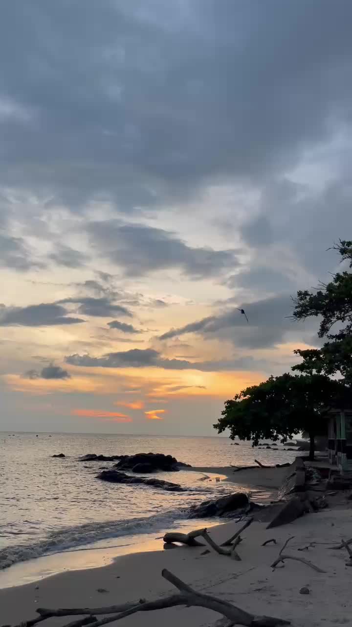@Leoz.F