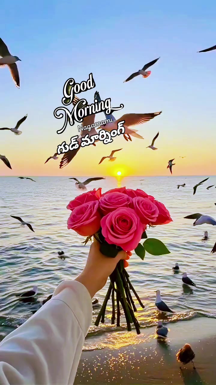 @🌿💞 Nagamani 💞🌿🌹Oman 🌹