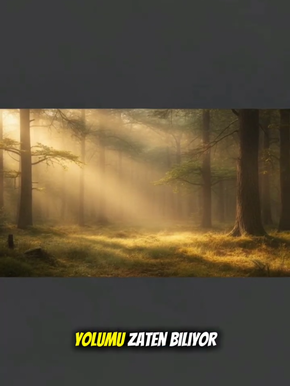 @kelebeğin rüyası