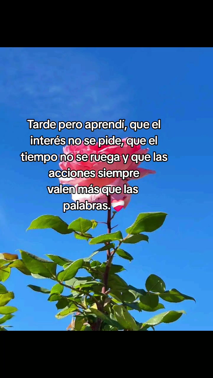 @ana contreras ❤️💋