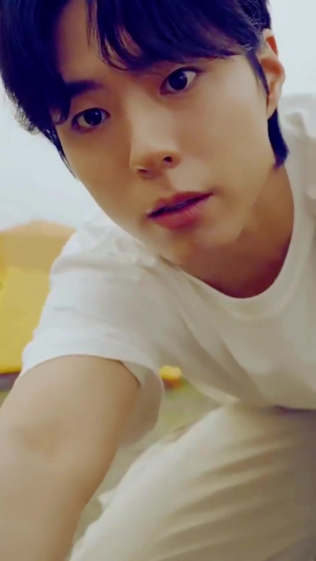 @Pp_bogummy