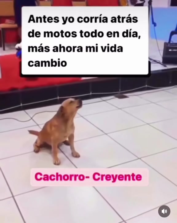 @Prado