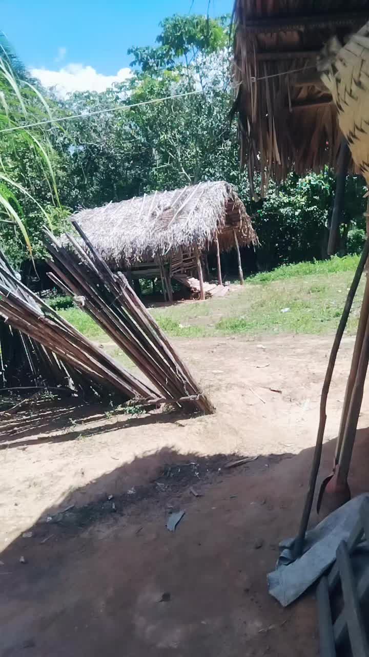 @Yara mendes