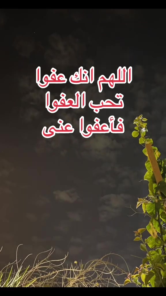 @تغطيات صقر_101
