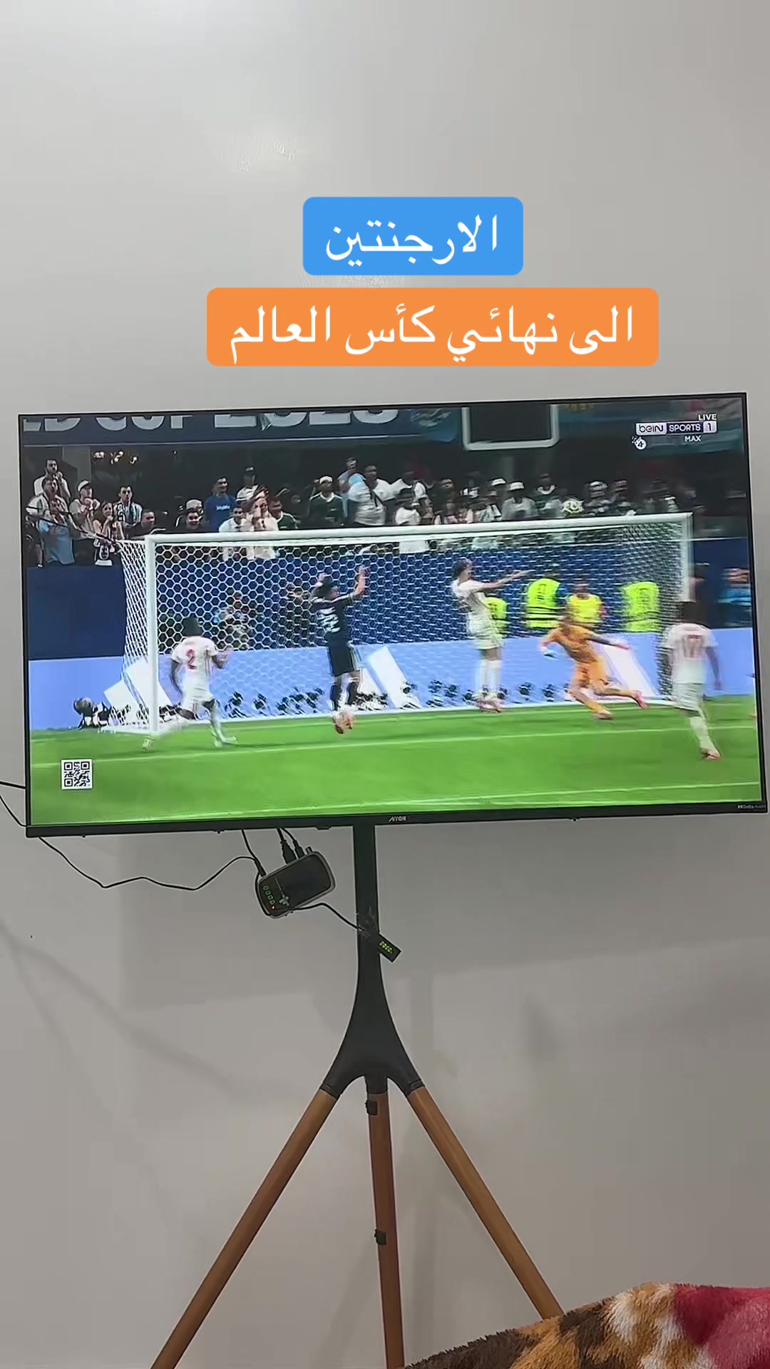 @مطقوق المطرفي