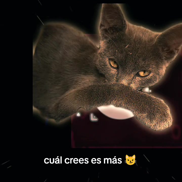 @Soy Nahimi🧸🩷