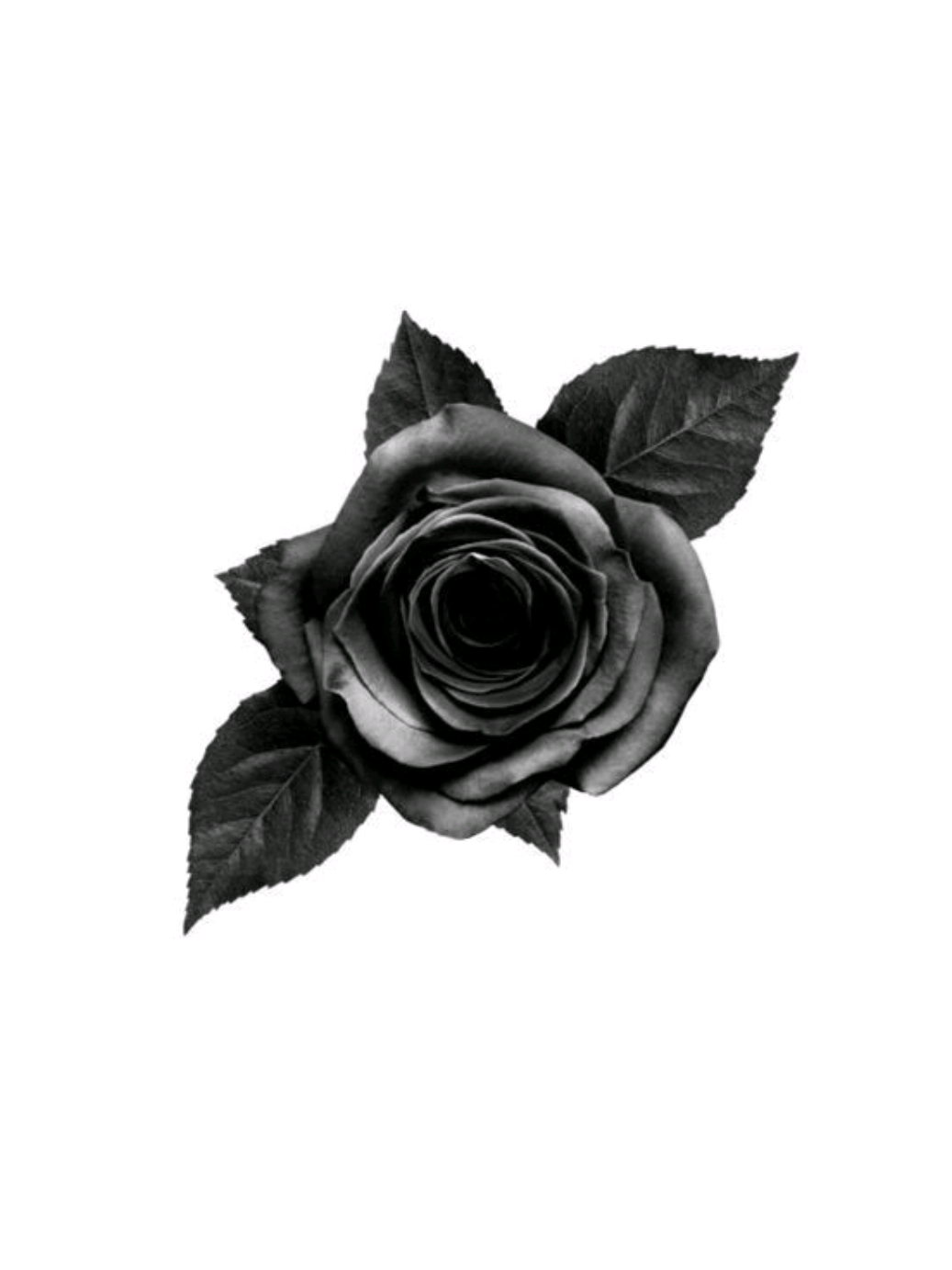 @𖹭   🩻⣴   　۫  𝐿ꪮ︭gꪖი  𓏴  𓂃