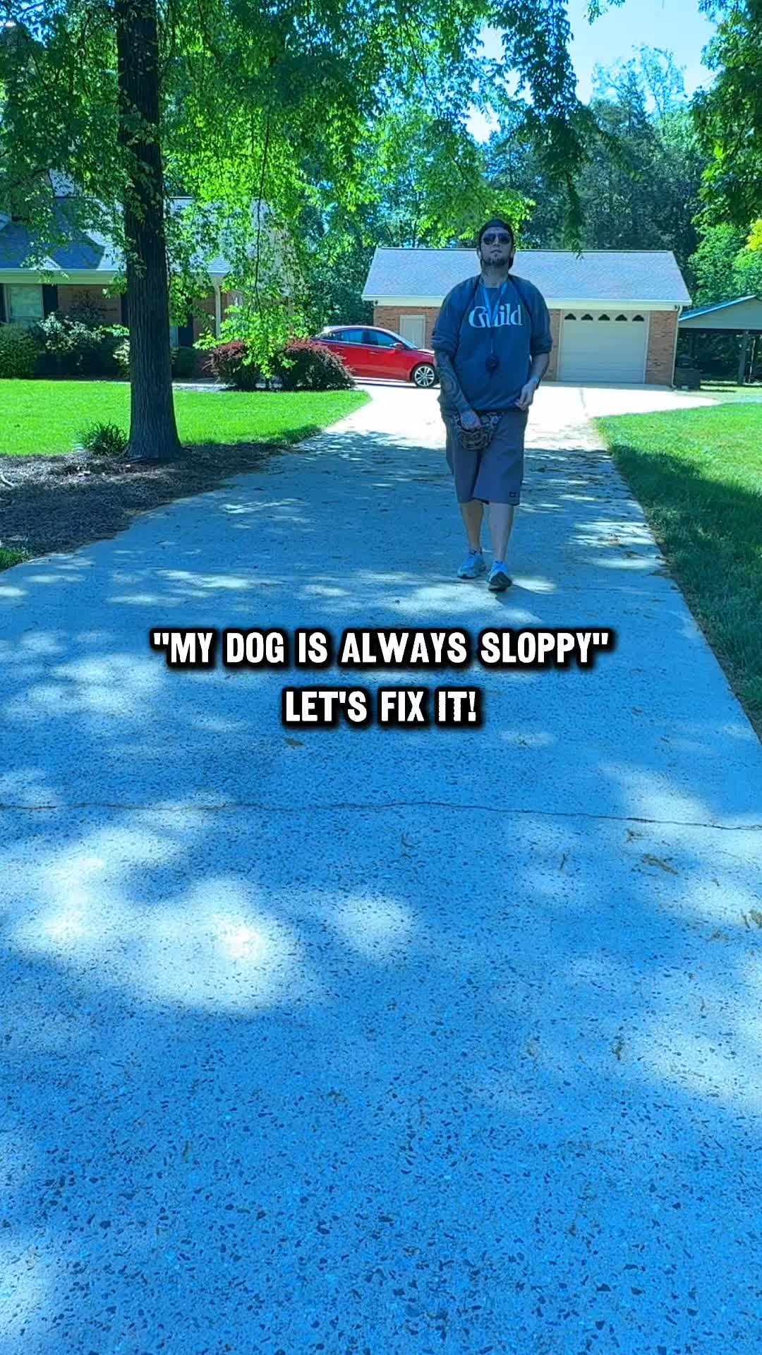 @Lost Boys K9 Academy