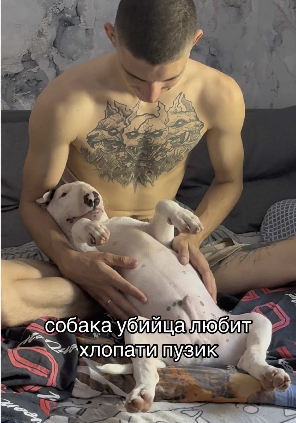 @пикми Ричард