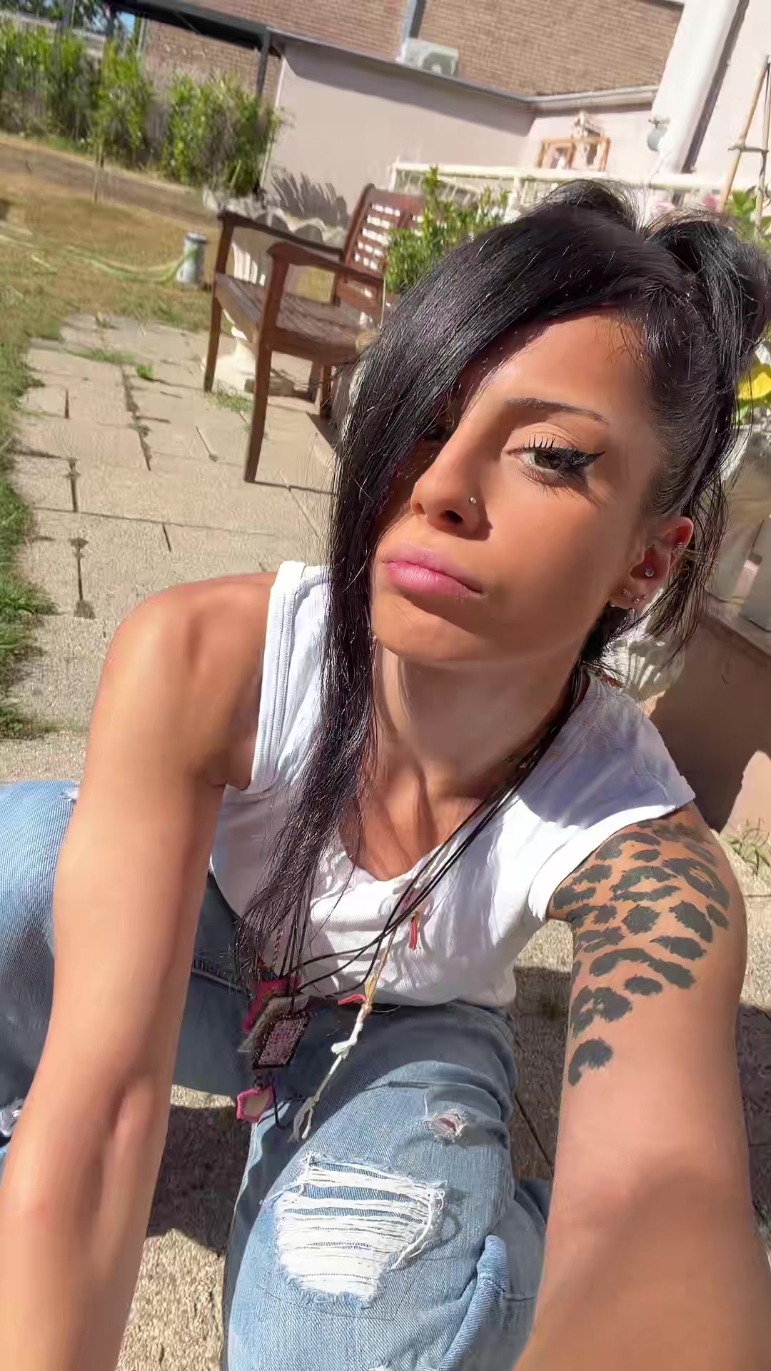 @persiankitten