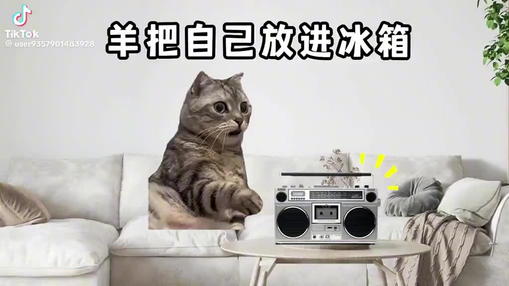 @白夜寒曜
