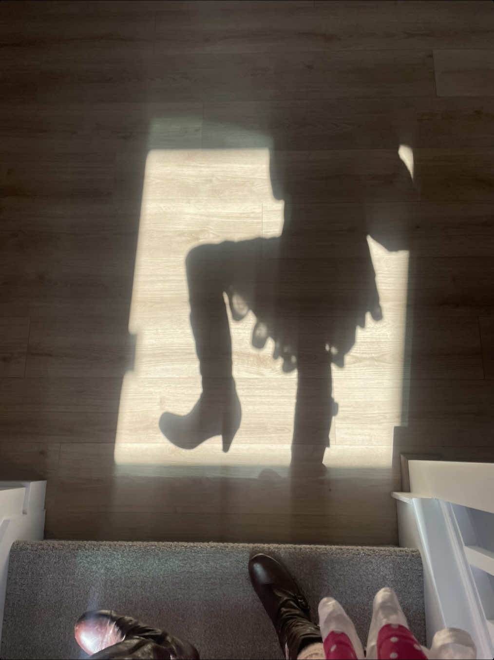@meg⋆.𓃗*:･