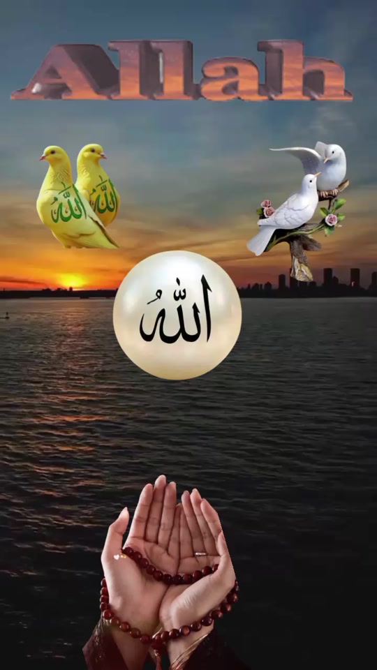 @🇹🇷Yasin Sapmaz🇹🇷