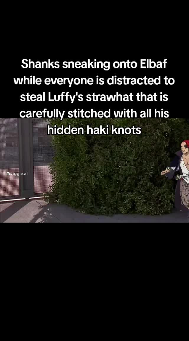 @Controswuikosis