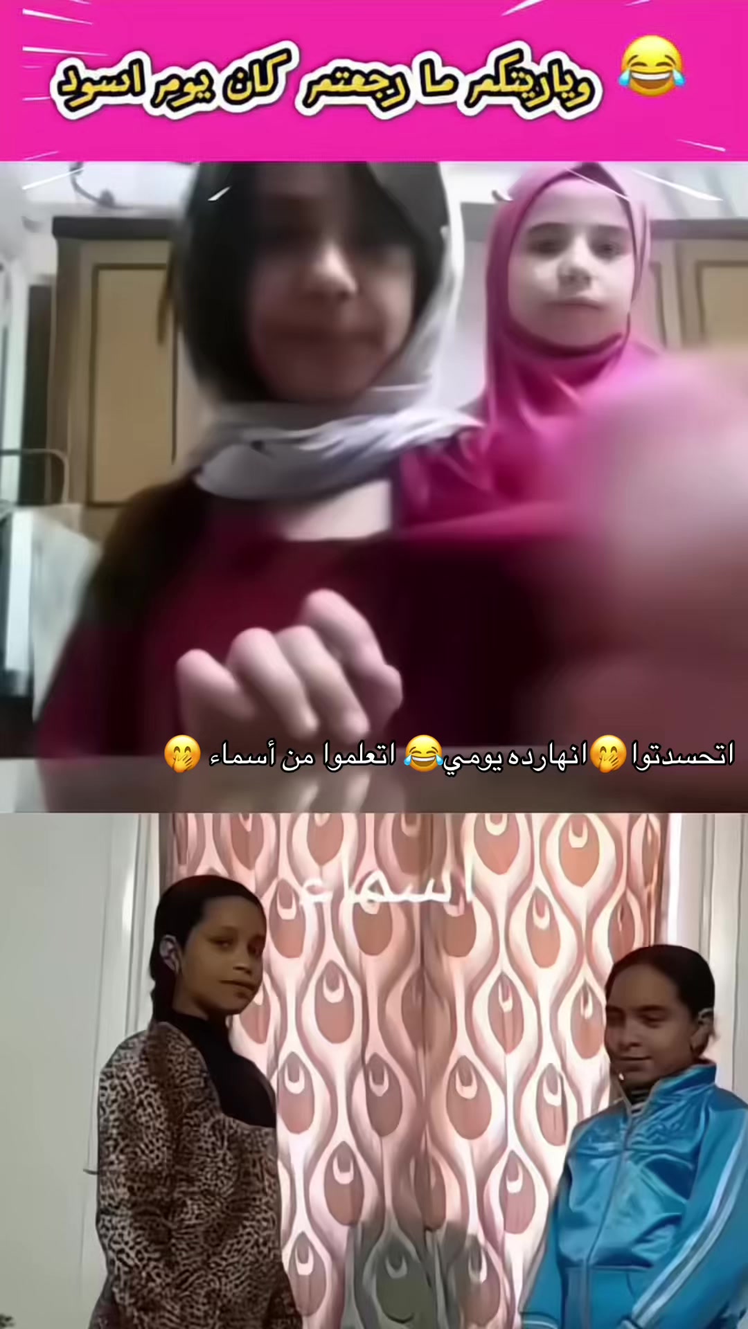 @𓆩𓃭𓀙ŚĤÉŔŶ𓀙𓃭𓆃