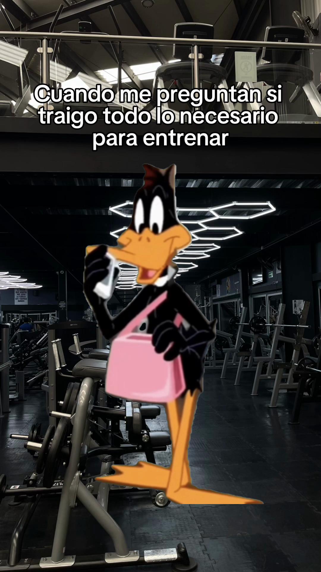 @kingsgymfitness