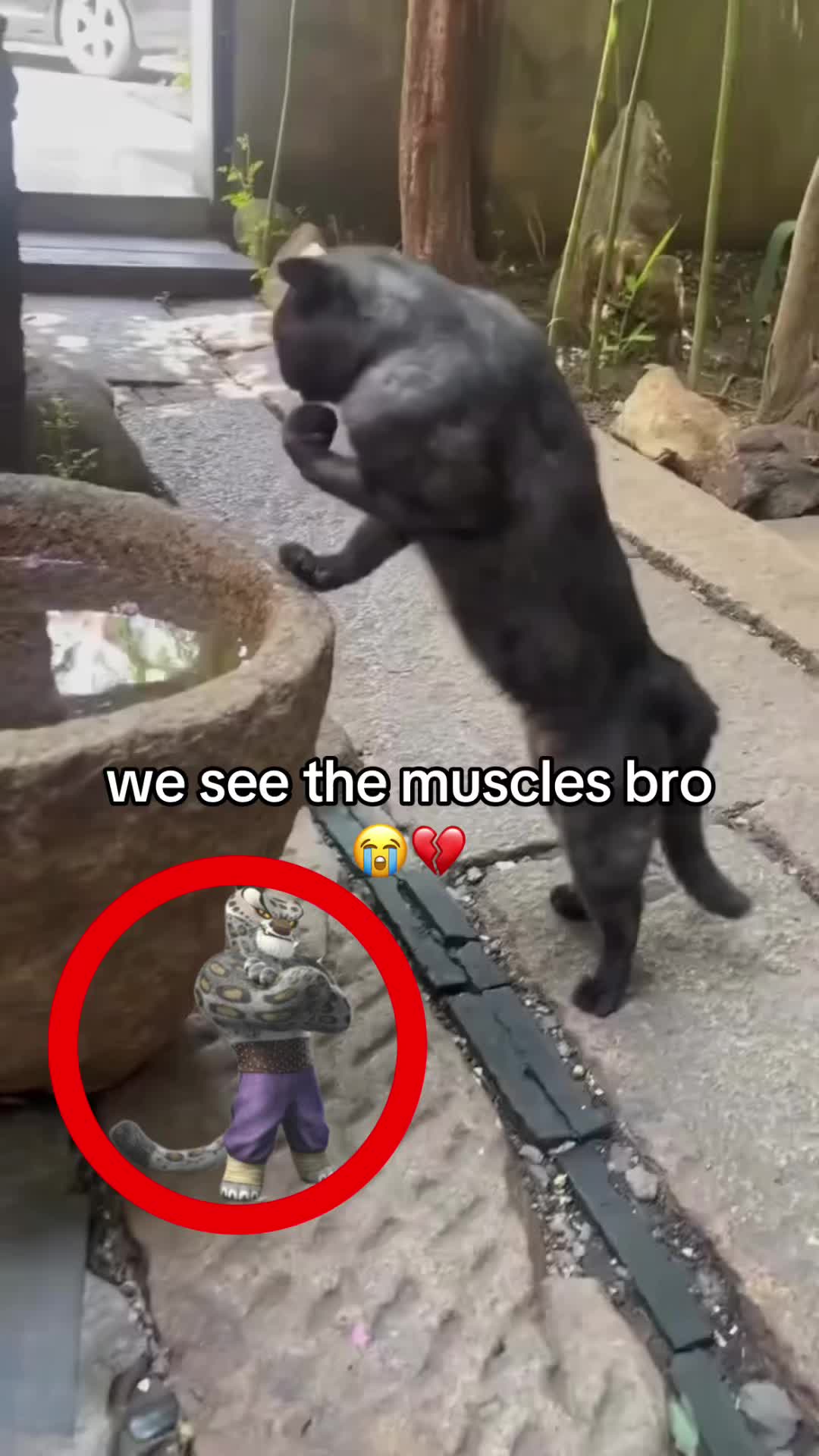 @bababooy1.2