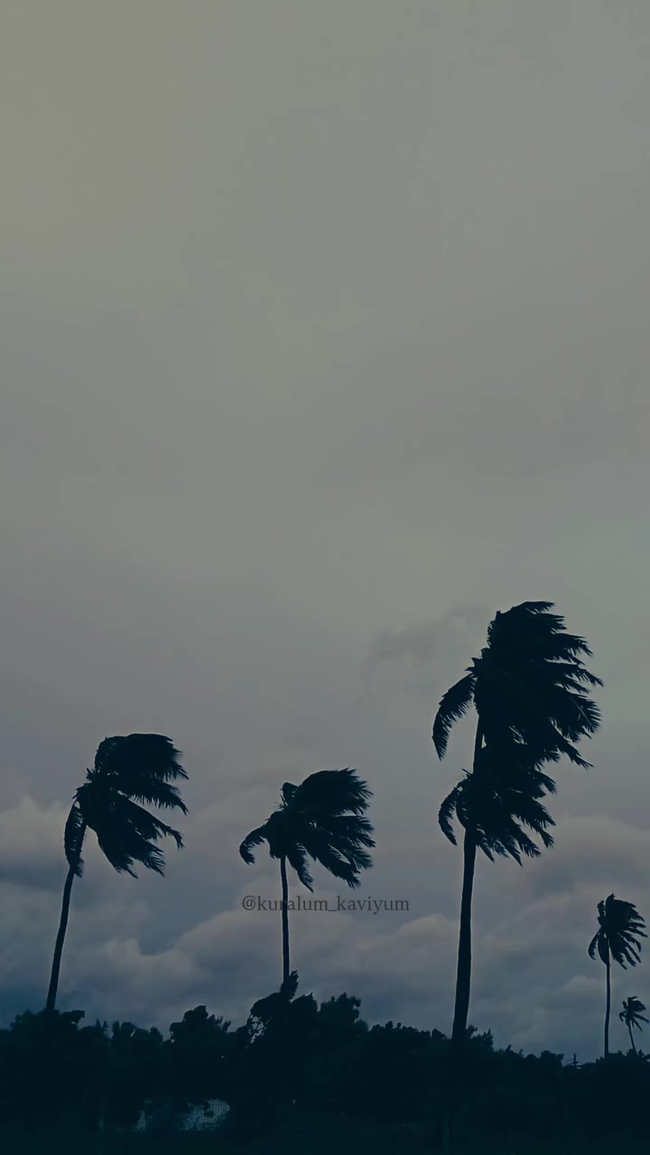 @ð°âðªðºððððððððyð°ð¹â