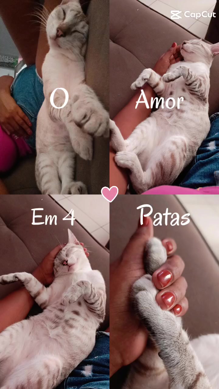 @eu..preta